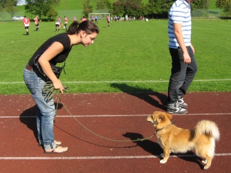 Fussballturnier der Ortvereine in Weyarn